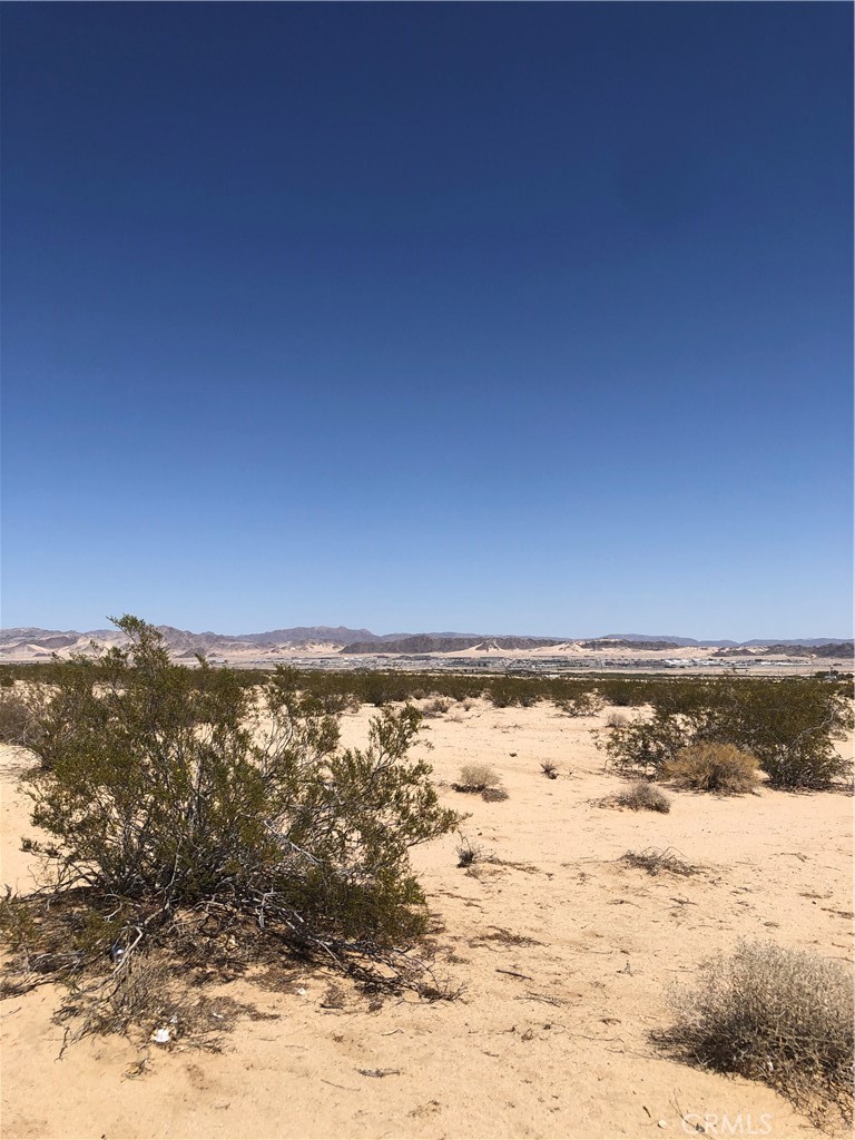 MLS #JT24047080 image #1