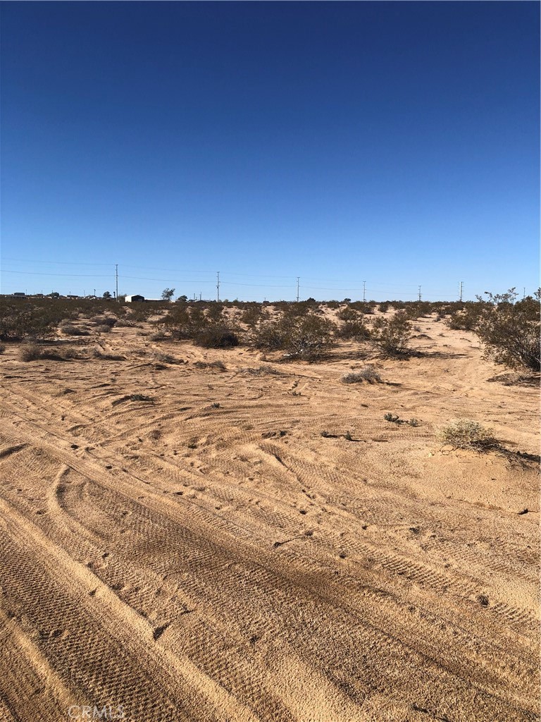 MLS #JT24047080 image #10