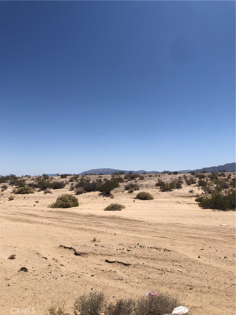 MLS #JT24047080 image #3