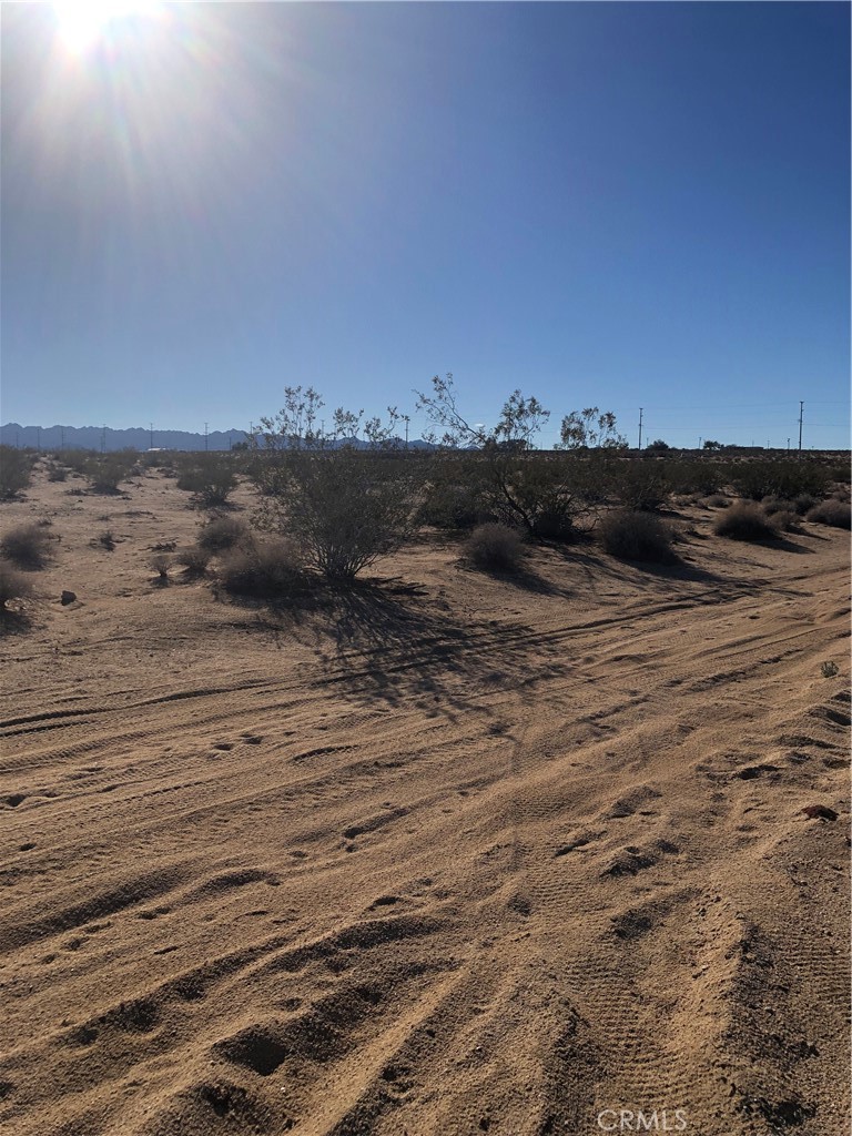 MLS #JT24047080 image #7