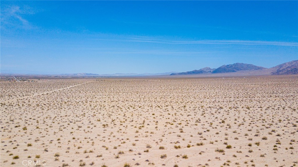 MLS #JT24108219 image #3