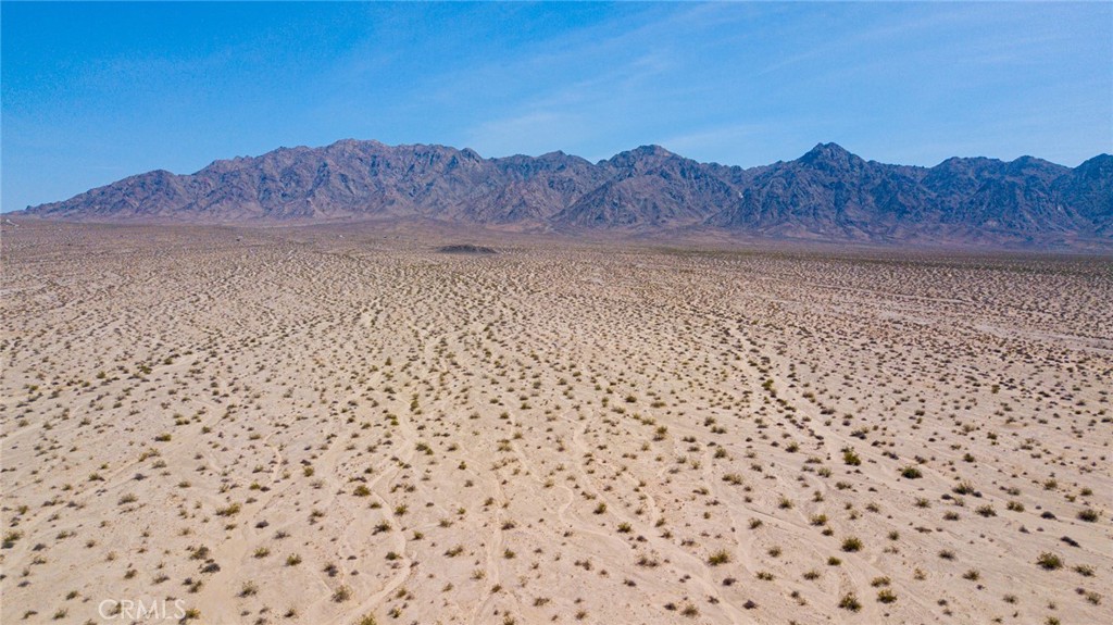 MLS #JT24108219 image #5