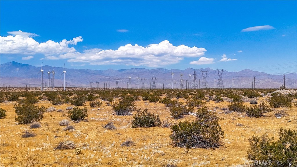 MLS #JT24132775 image #23