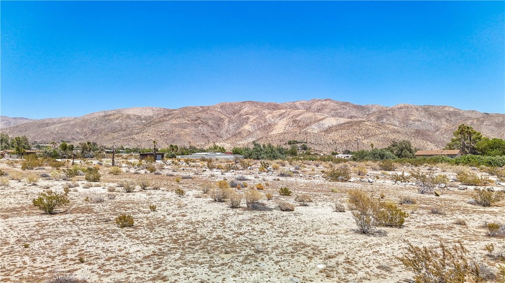 MLS #JT24133098 image #14