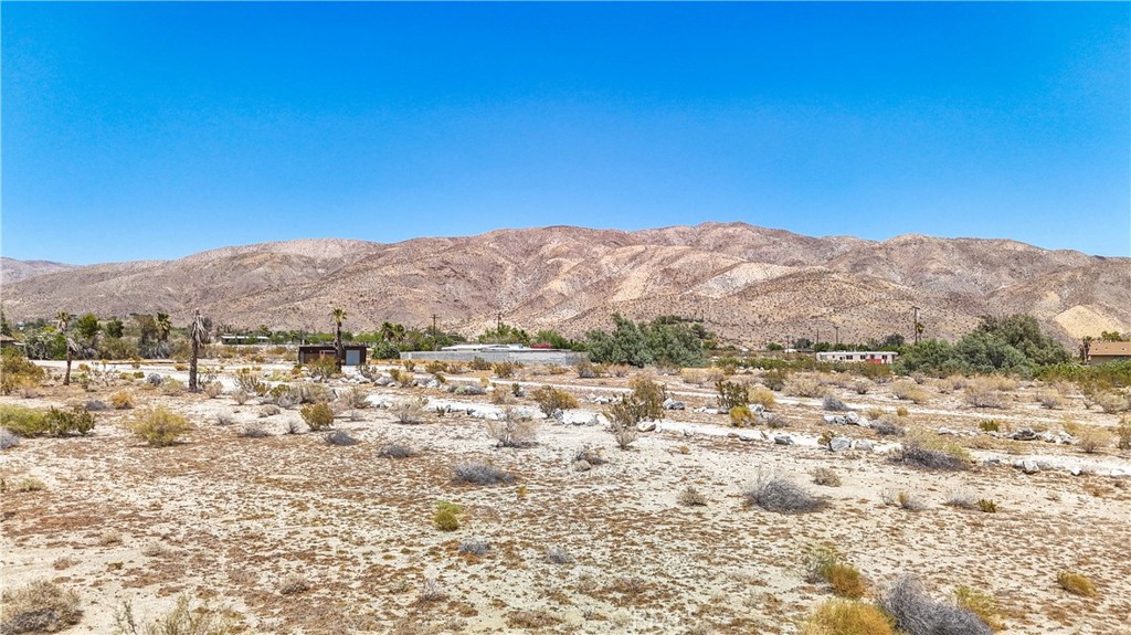 MLS #JT24133098 image #15