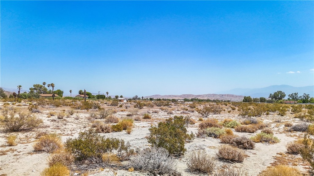 MLS #JT24133098 image #21