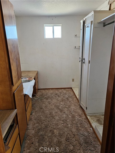 MLS #JT24211335 image #5