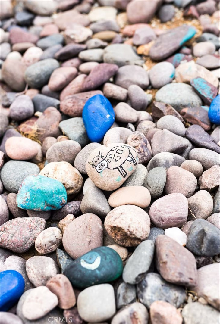 MLS #JT25004867 image #29