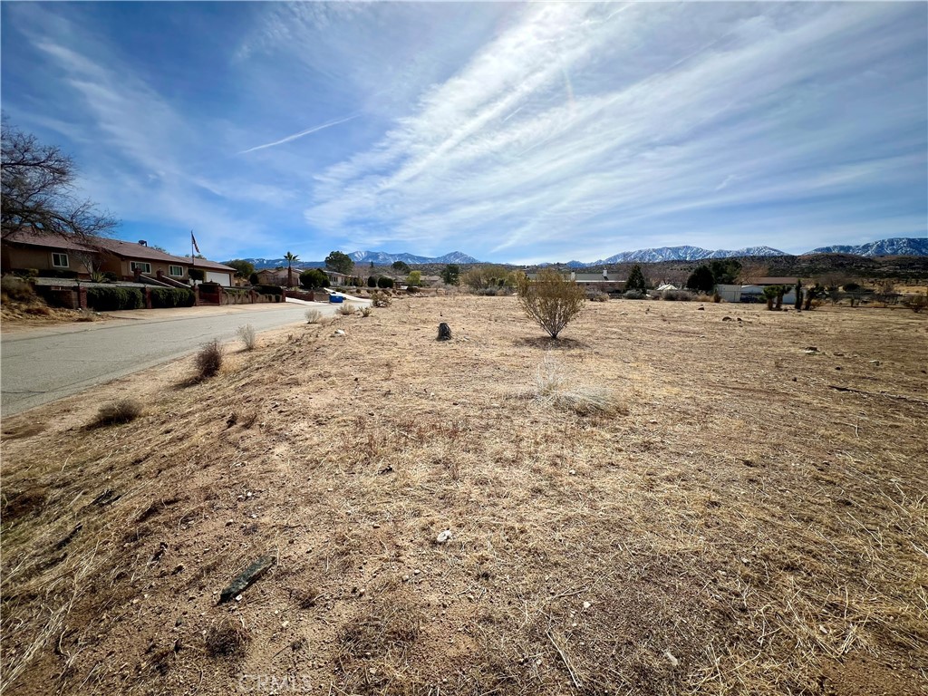 MLS #JT25034566 image #3