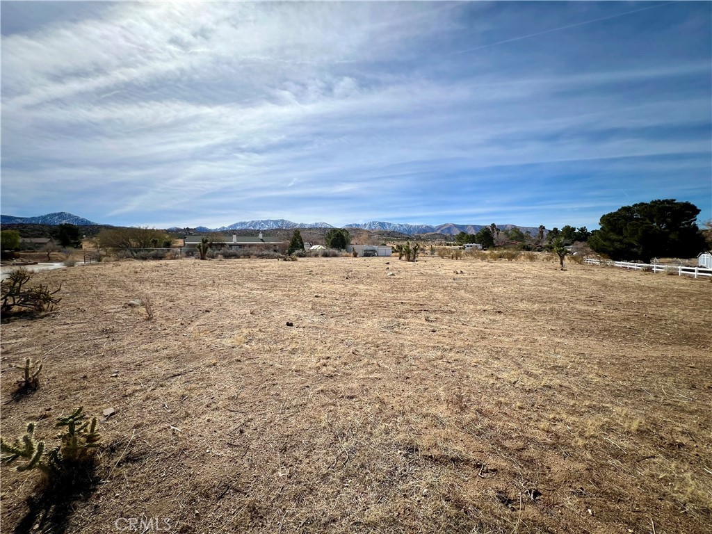 MLS #JT25034566 image #4