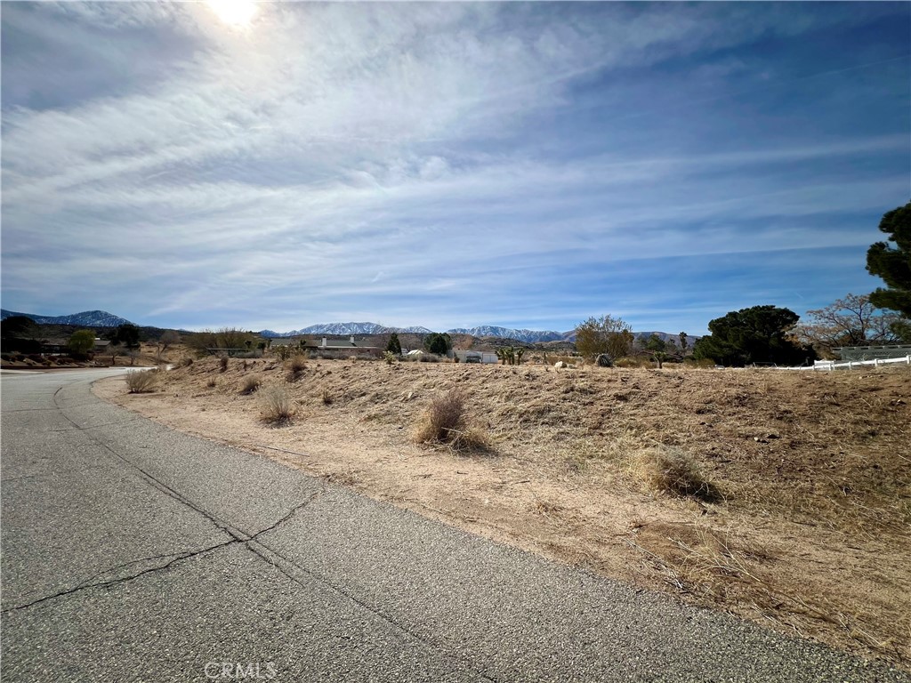 MLS #JT25034566 image #5