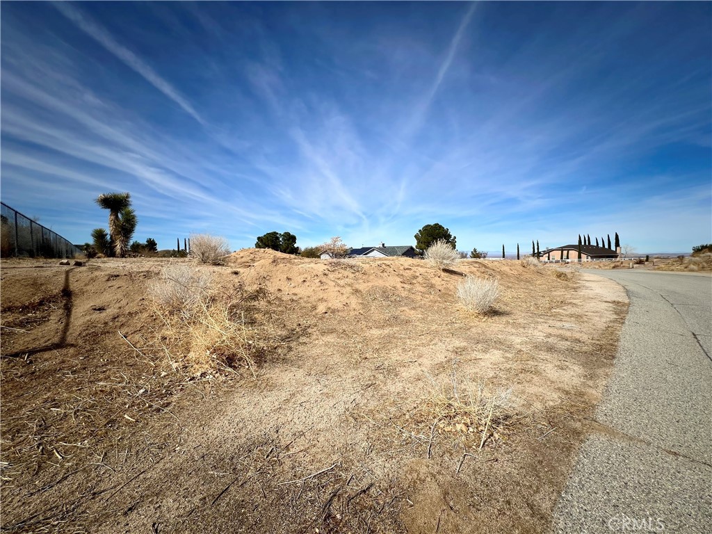 MLS #JT25034566 image #6