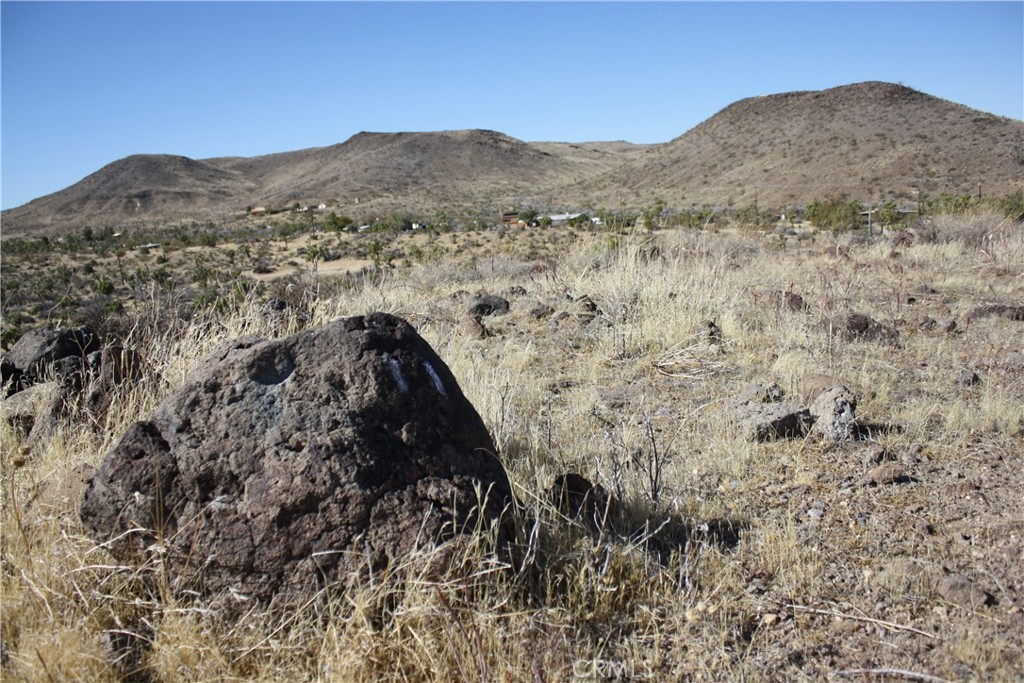 MLS #JT25038167 image #12