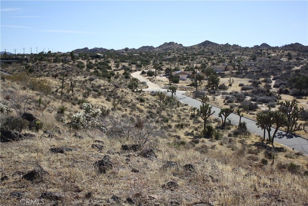 MLS #JT25038167 image #13