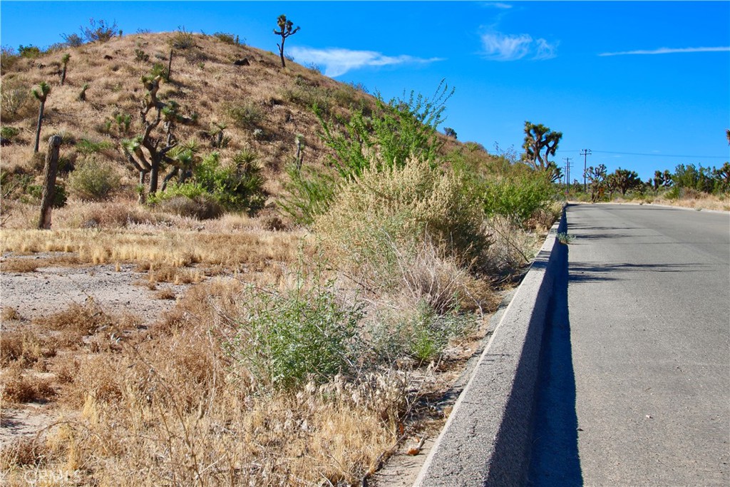 MLS #JT25038167 image #16