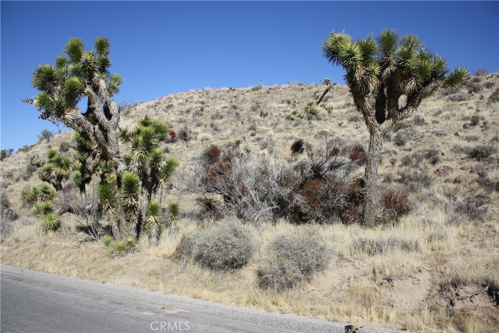 MLS #JT25038167 image #17