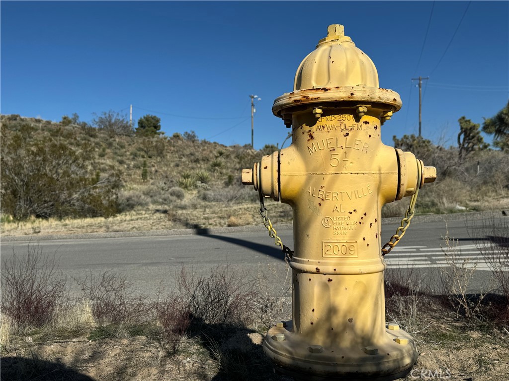 MLS #JT25038167 image #4