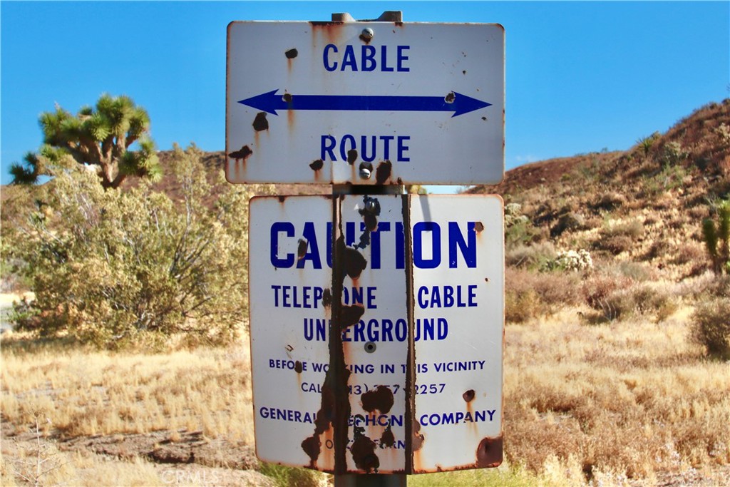 MLS #JT25038167 image #5