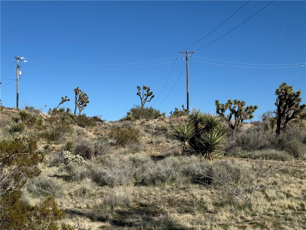 MLS #JT25038167 image #6