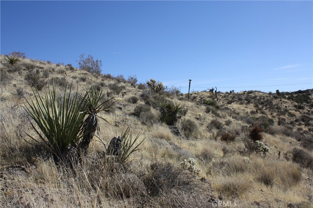 MLS #JT25038167 image #8