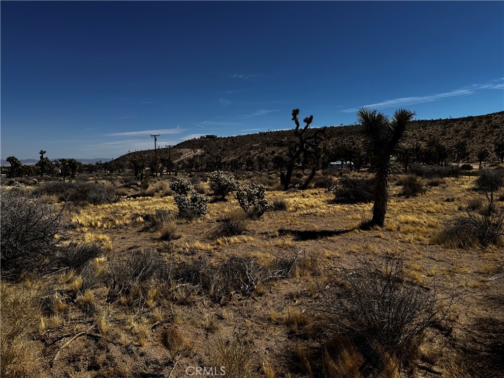 MLS #JT25058513 image #1