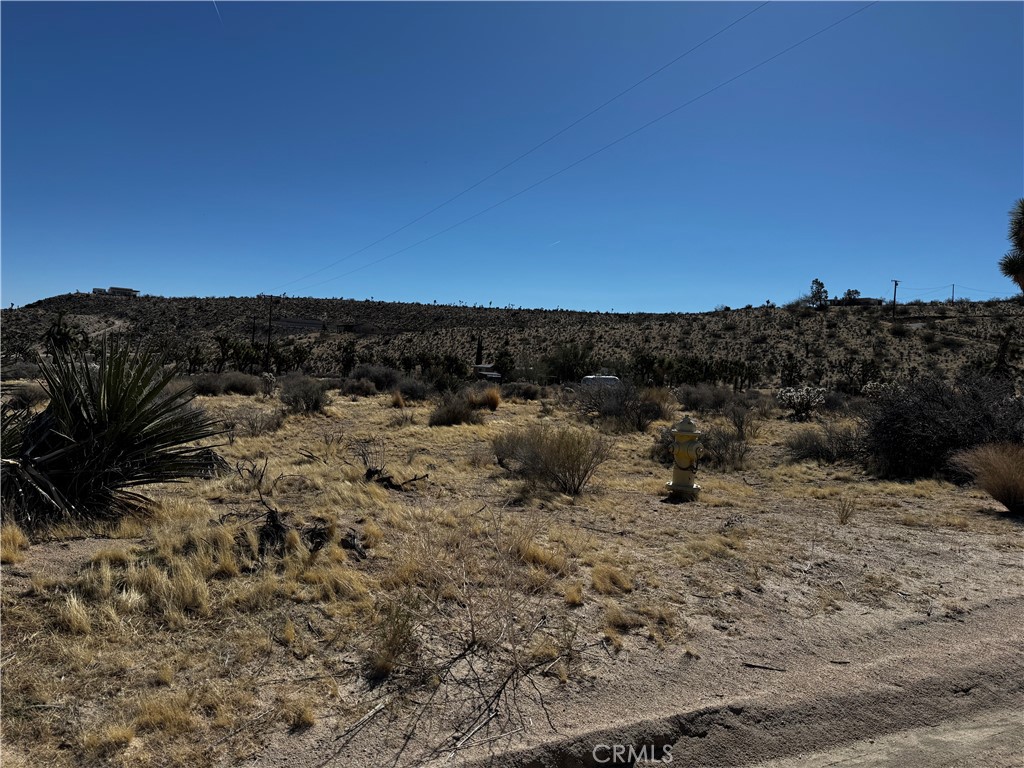 MLS #JT25058513 image #2