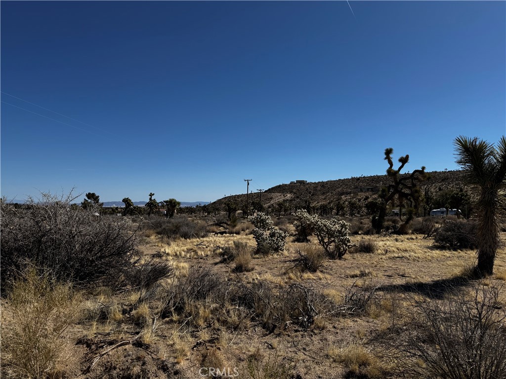 MLS #JT25058513 image #3