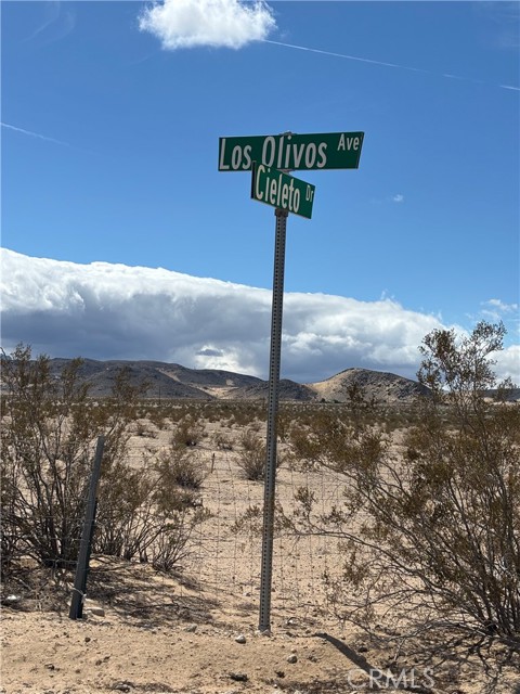 MLS #JT25060539 image #1