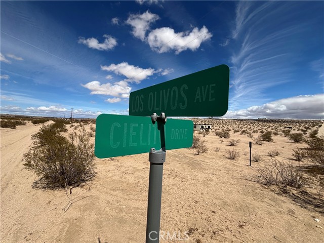 MLS #JT25060539 image #10