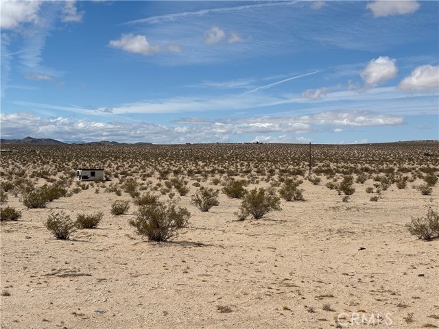 MLS #JT25060539 image #3