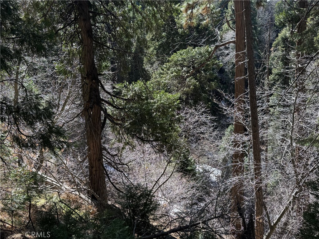 MLS #JT25064713 image #1