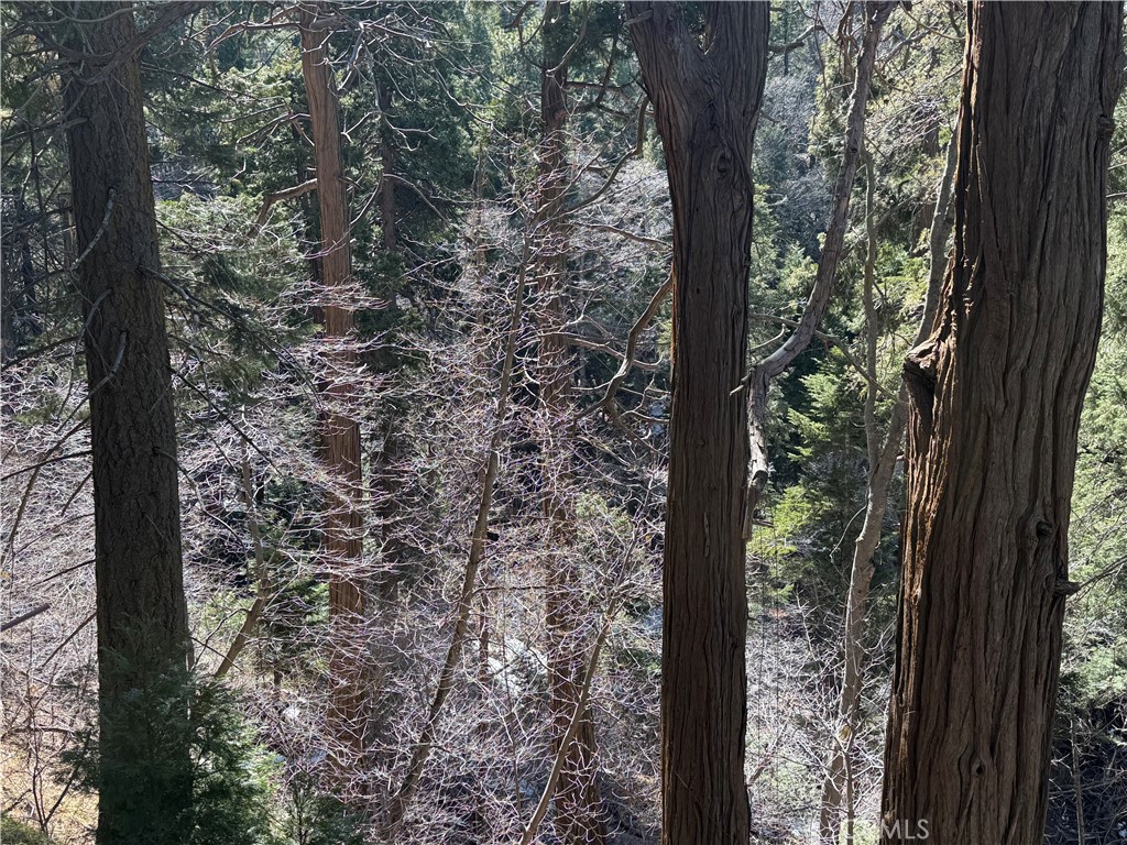 MLS #JT25064713 image #2