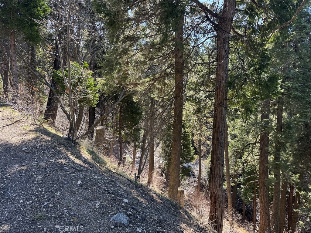 MLS #JT25064713 image #3