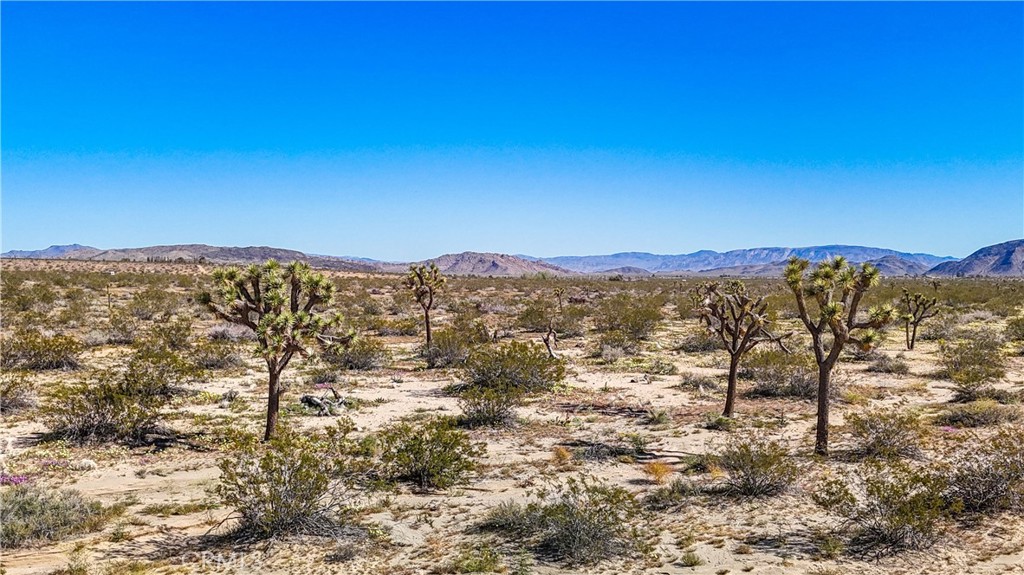 MLS #JT25078936 image #1