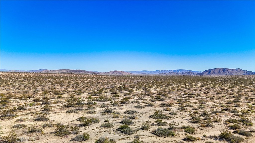 MLS #JT25078936 image #2