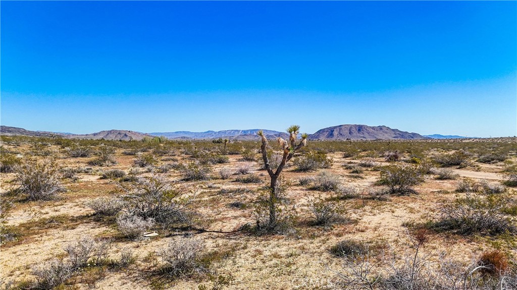 MLS #JT25078936 image #24