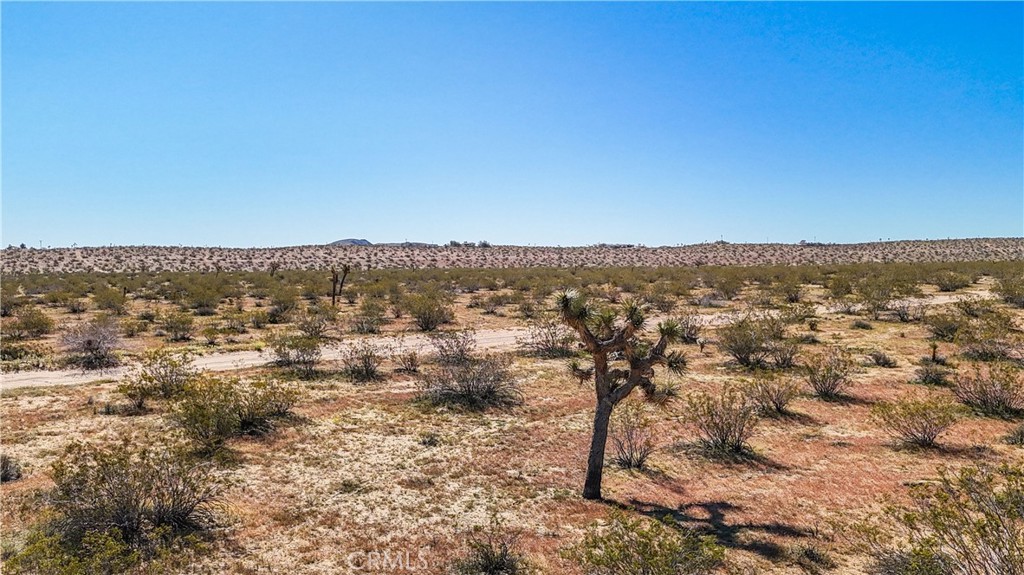 MLS #JT25078936 image #30