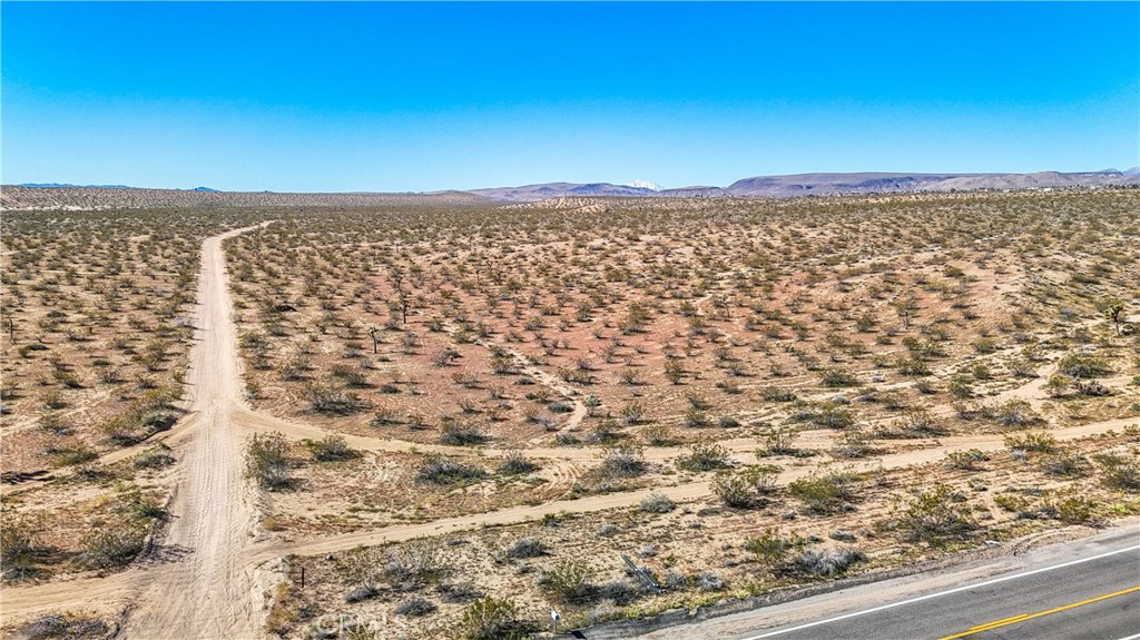 MLS #JT25078936 image #36