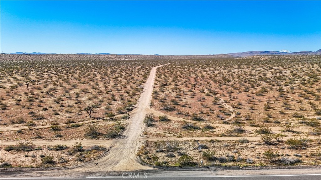 MLS #JT25078936 image #37