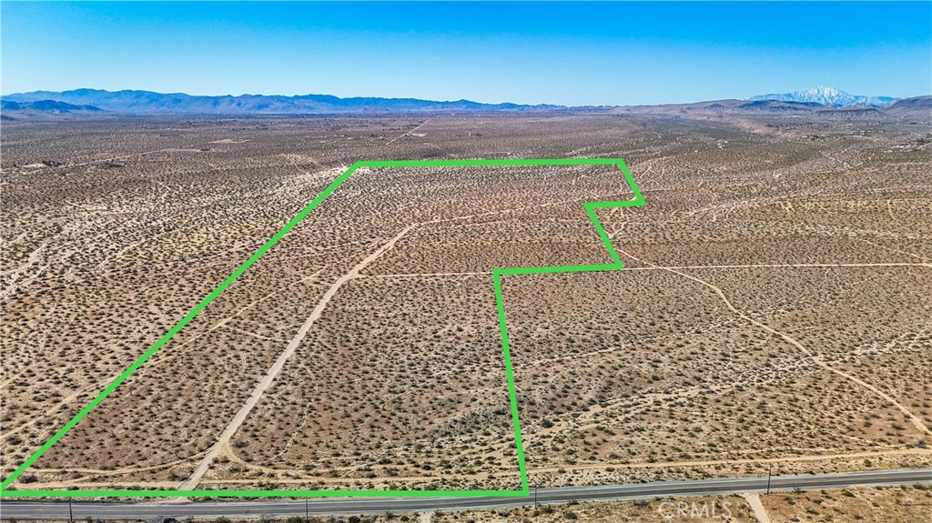 MLS #JT25078936 image #4