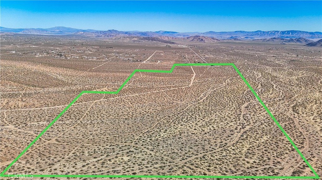 MLS #JT25078936 image #8