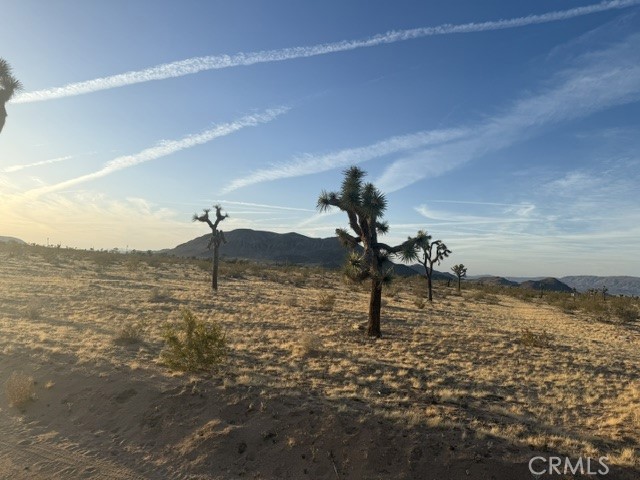 MLS #JT25095852 image #0