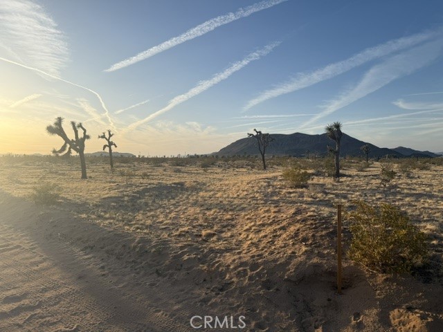 MLS #JT25095852 image #1