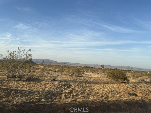 MLS #JT25095852 image #2