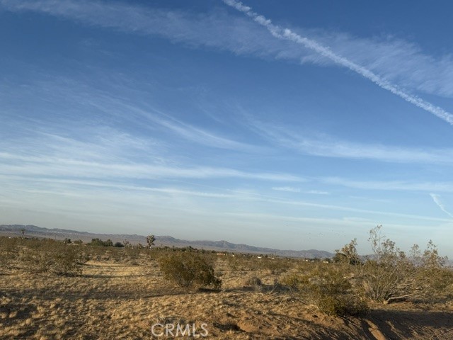 MLS #JT25095852 image #3