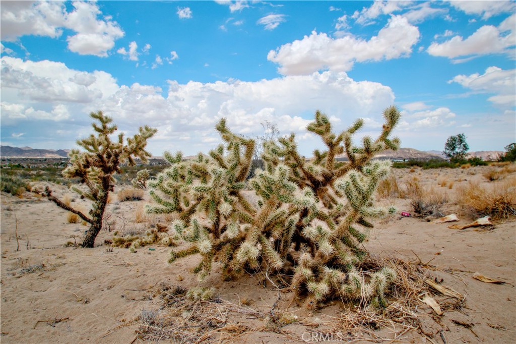 MLS #JT25097780 image #1