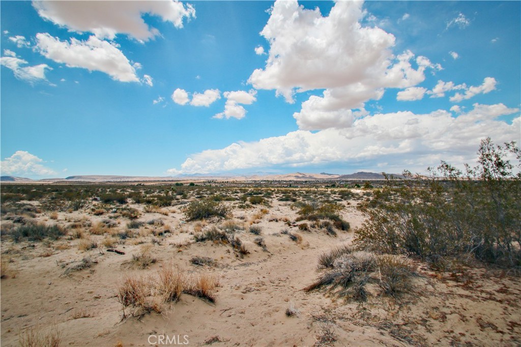 MLS #JT25097780 image #19