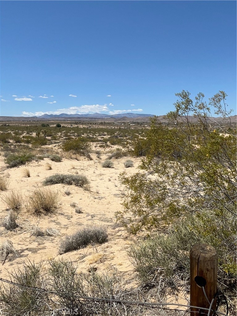 MLS #JT25097780 image #2