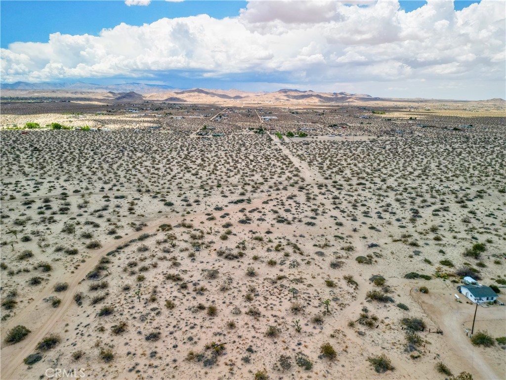 MLS #JT25097780 image #4