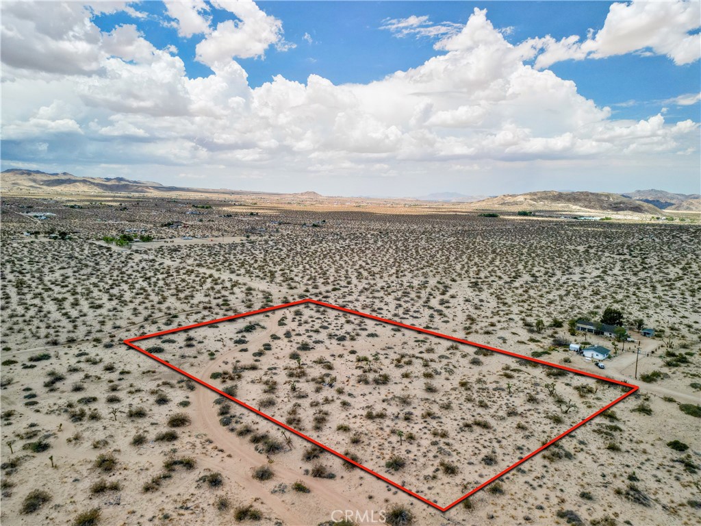 MLS #JT25097780 image #5